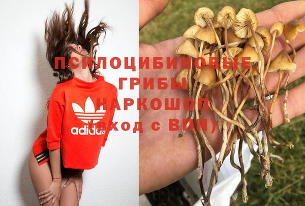 mdpv Куйбышев