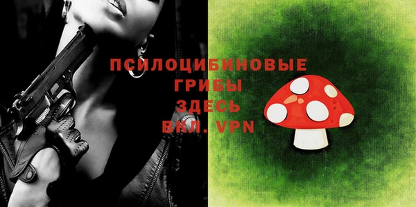стафф Болотное