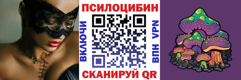 Галлюциногенные грибы MAGIC MUSHROOMS  MEGA зеркало  Кудымкар  где найти наркотики 