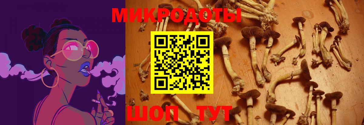 Галлюциногенные грибы MAGIC MUSHROOMS  Вход с VPN  Галлюциногенные грибы мицелий  Кудымкар 